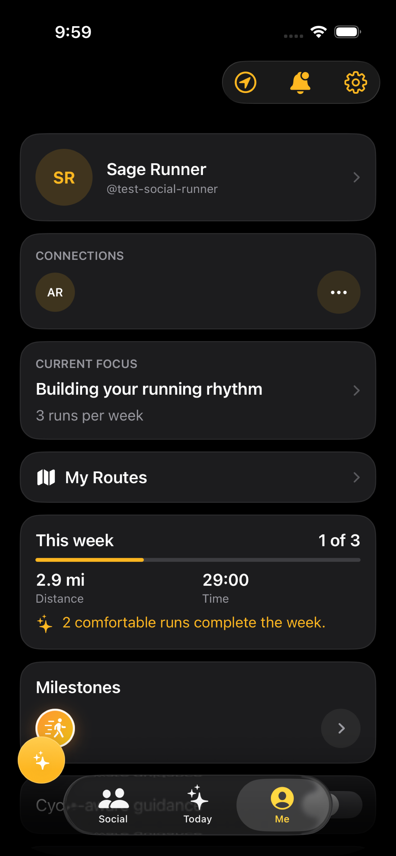 Plainstride weekly progress on iPhone